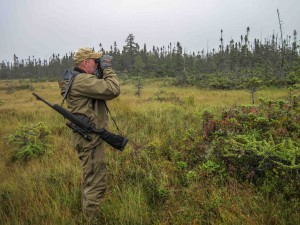 Putting the Swarovski on a Newfoundland bog while looking for moose.
