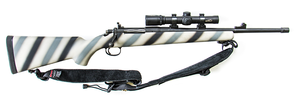 Daily Blog: 12/20/20 (Scout Rifles)